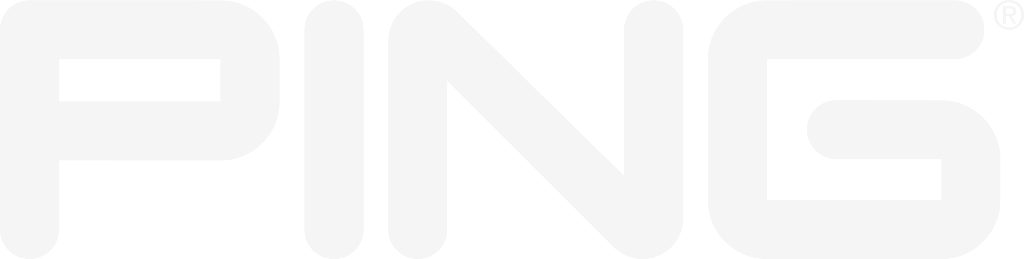 PING logo